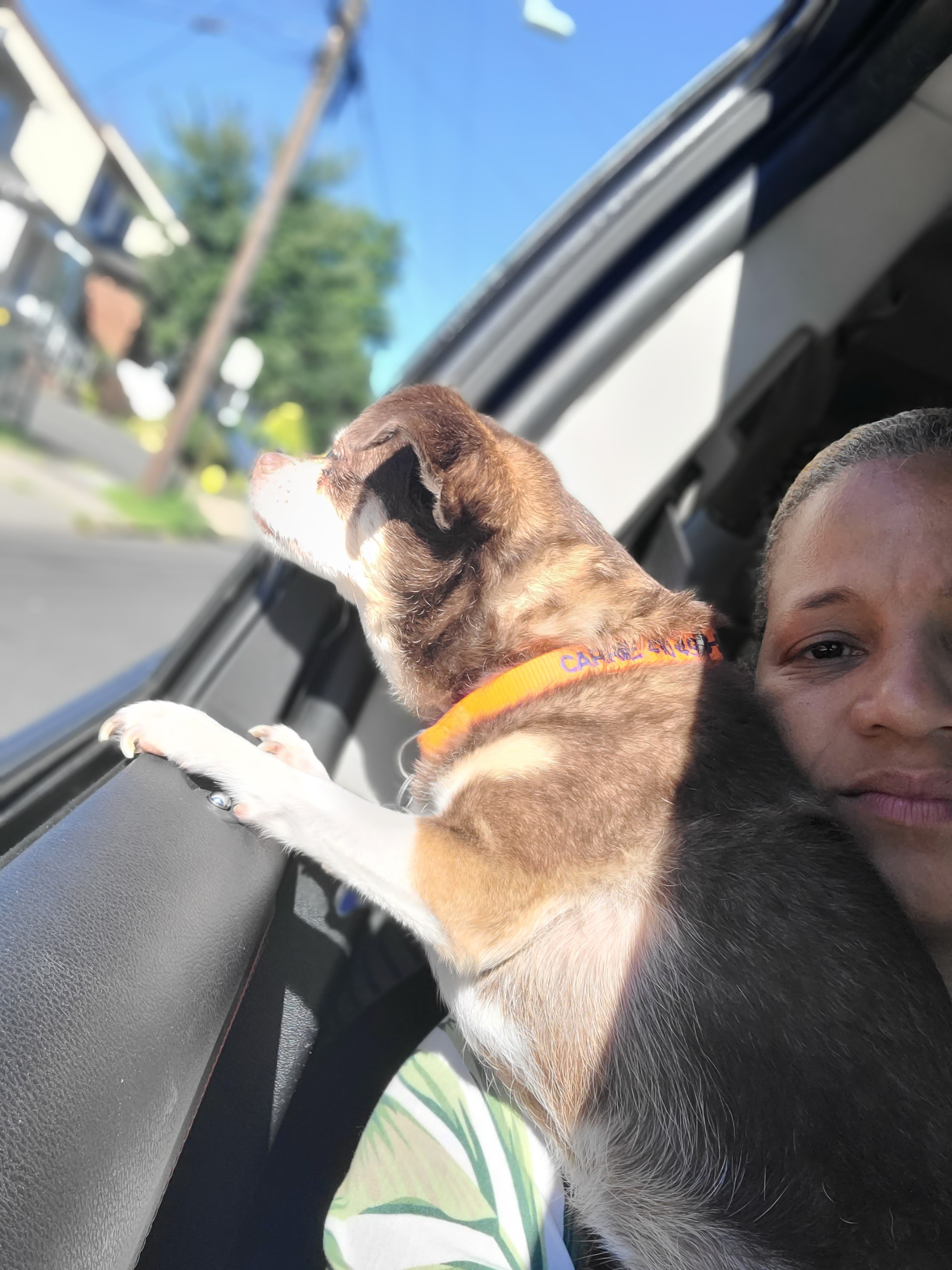 Carrie with head out of the car window